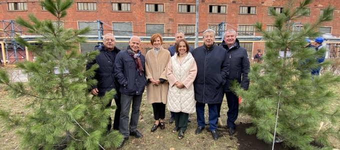 Кедровая аллея Уралхиммаш.jpg Кедровая аллея Уралхиммаш.jpg